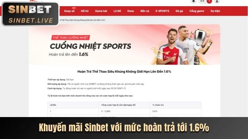 Chiến thuật cá cược thể thao hiệu quả tại wim23